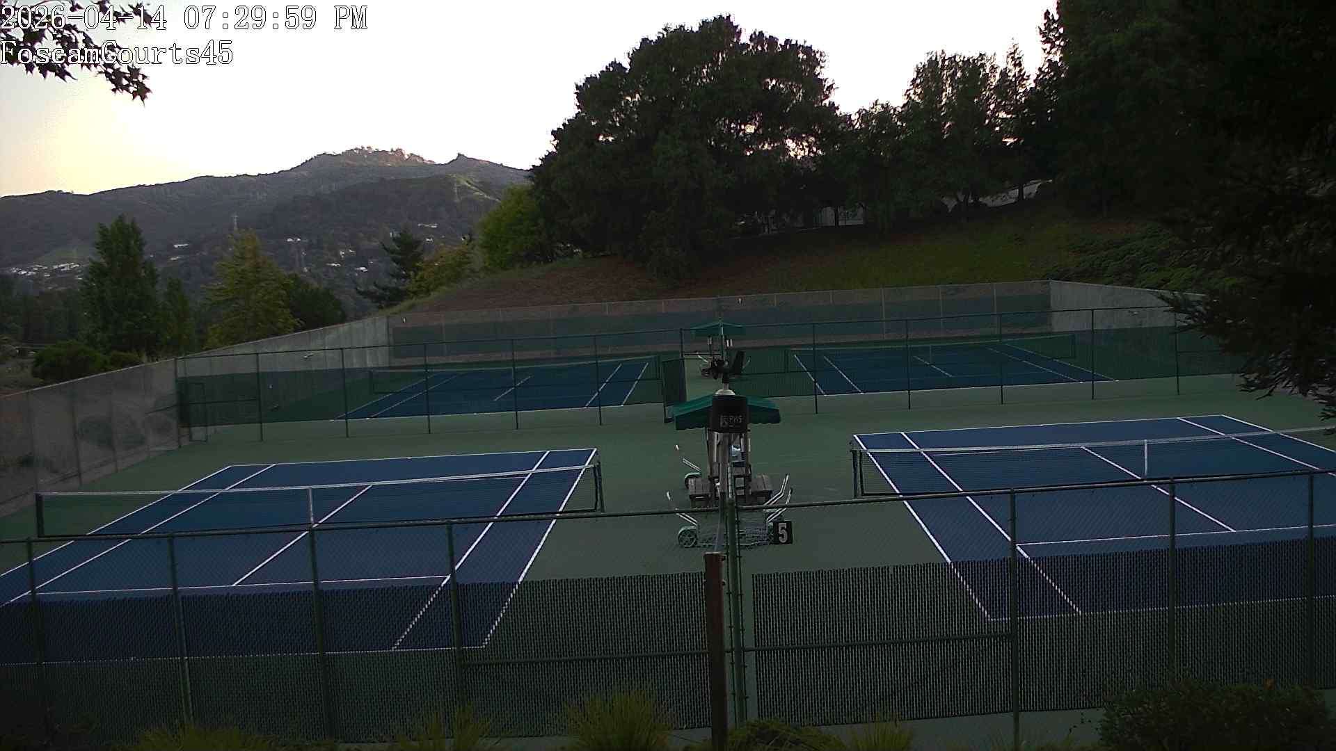 Webcam Orinda Woods